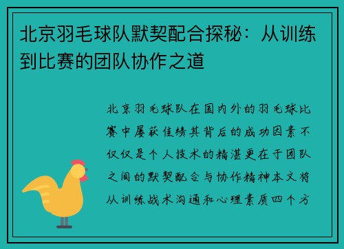 北京羽毛球队默契配合探秘：从训练到比赛的团队协作之道